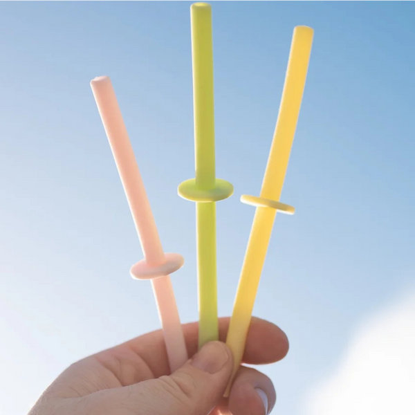 Silicone Straw Set (4) - Pastel