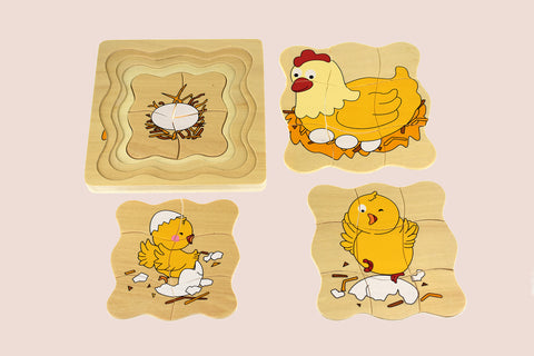 Chicken Lifecycle 4 Layers Puzzle